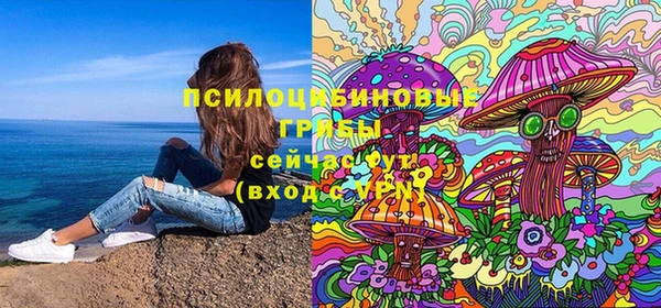 соль ск Лиски