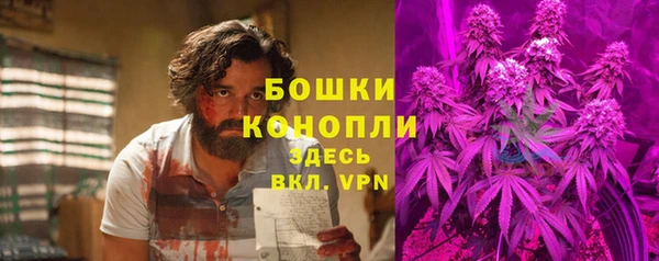 соль ск Лиски