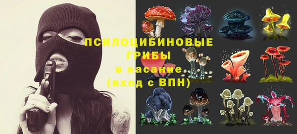 соль ск Лиски